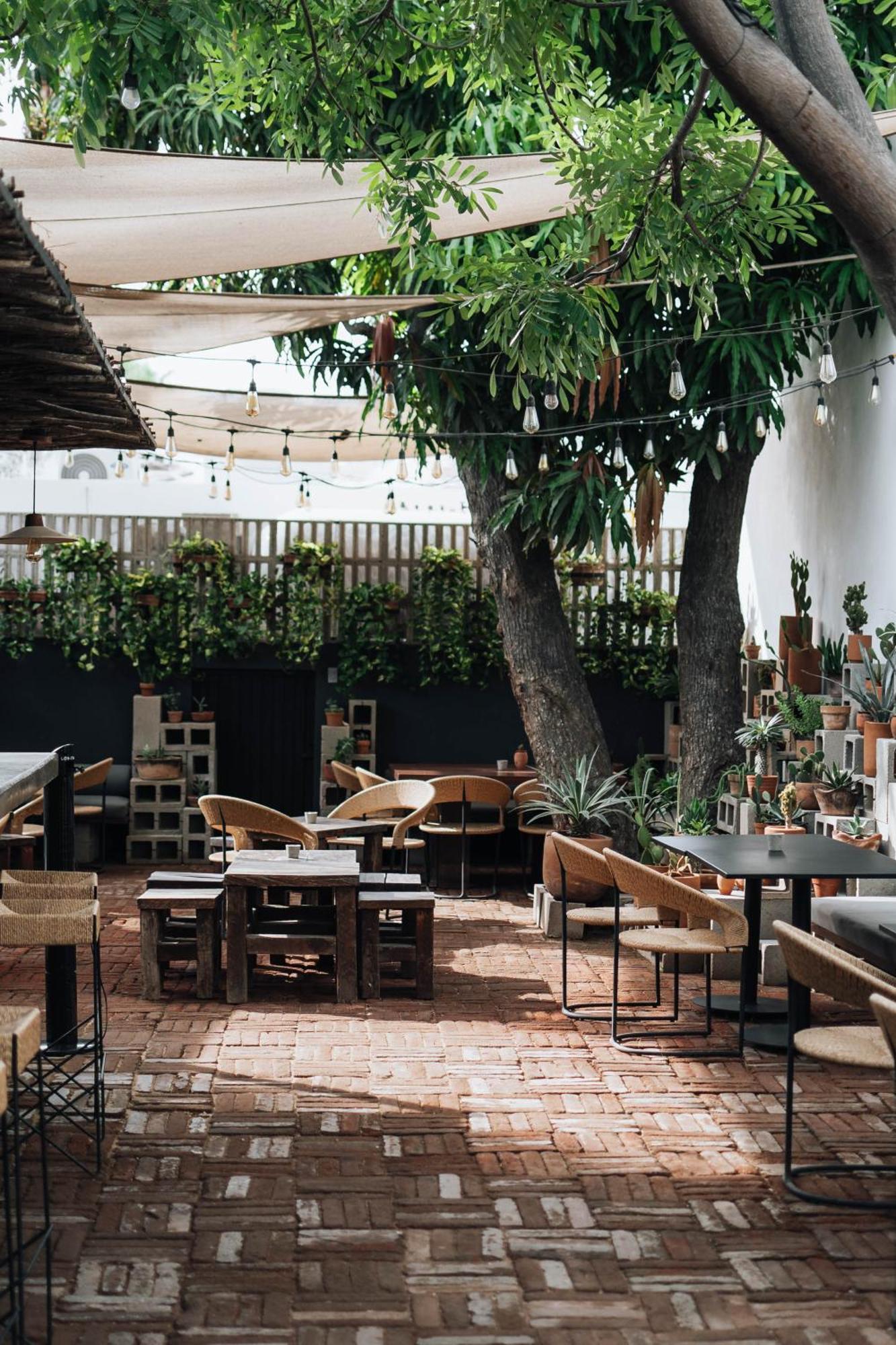 Drift San Jose Del Cabo, A Member Of Design Hotels Εξωτερικό φωτογραφία