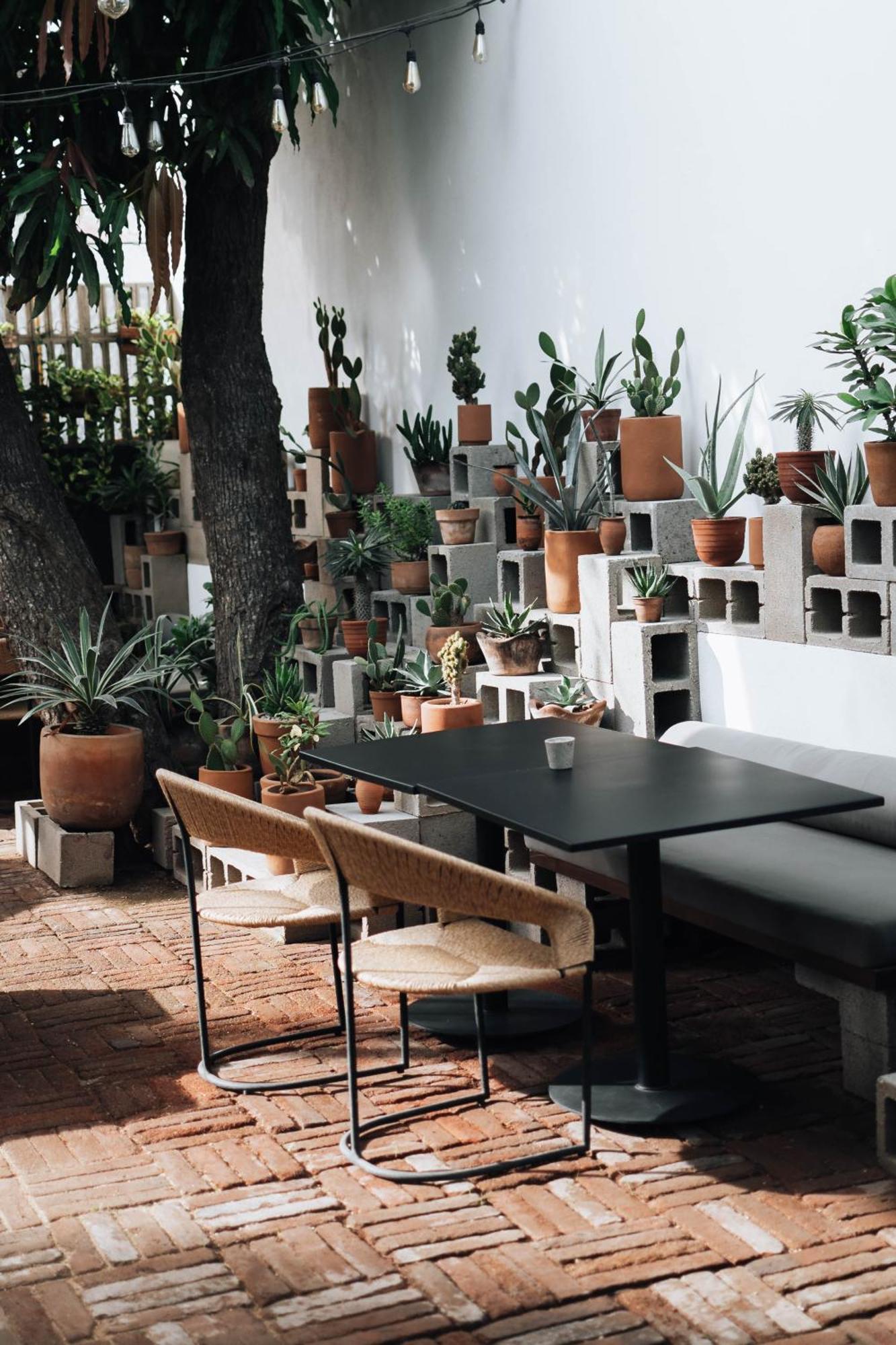 Drift San Jose Del Cabo, A Member Of Design Hotels Εξωτερικό φωτογραφία